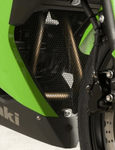 R&G Downpipe Grille fits for Kawasaki Ninja 300 & Ninja 250 models - Durian Bikers