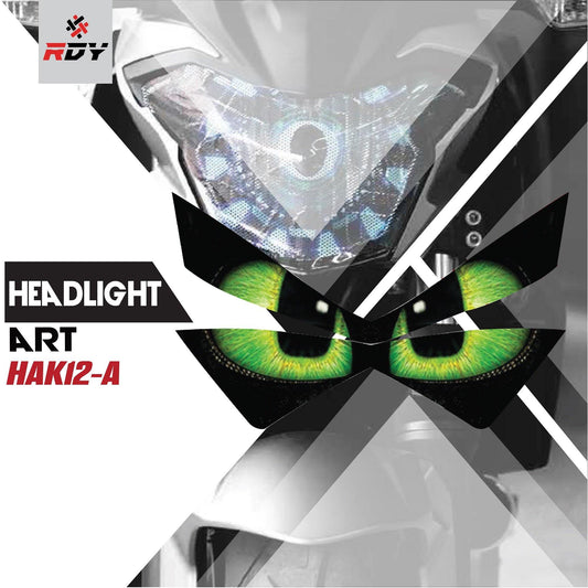 RDY Headlight Art fits for Kawasaki Z800 - Durian Bikers