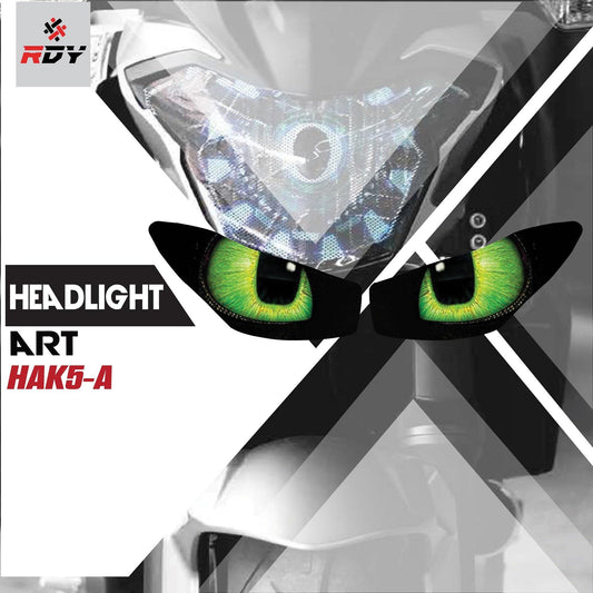 RDY Headlight Art fits for Kawasaki Z1000SX - Durian Bikers