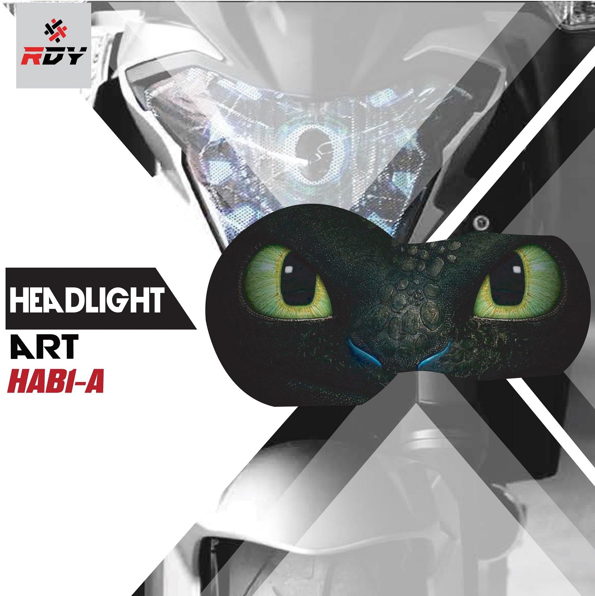 RDY Headlight Art fits for BMW R1000GS - Image 4