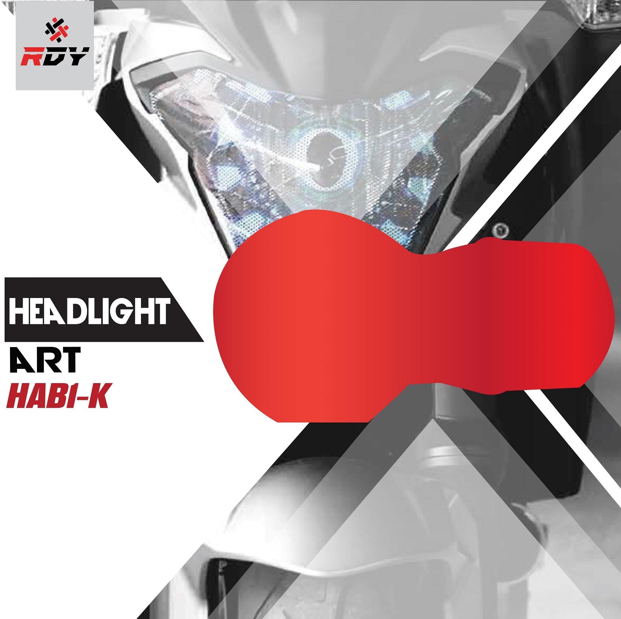 RDY Headlight Art fits for BMW R1000GS - Image 14