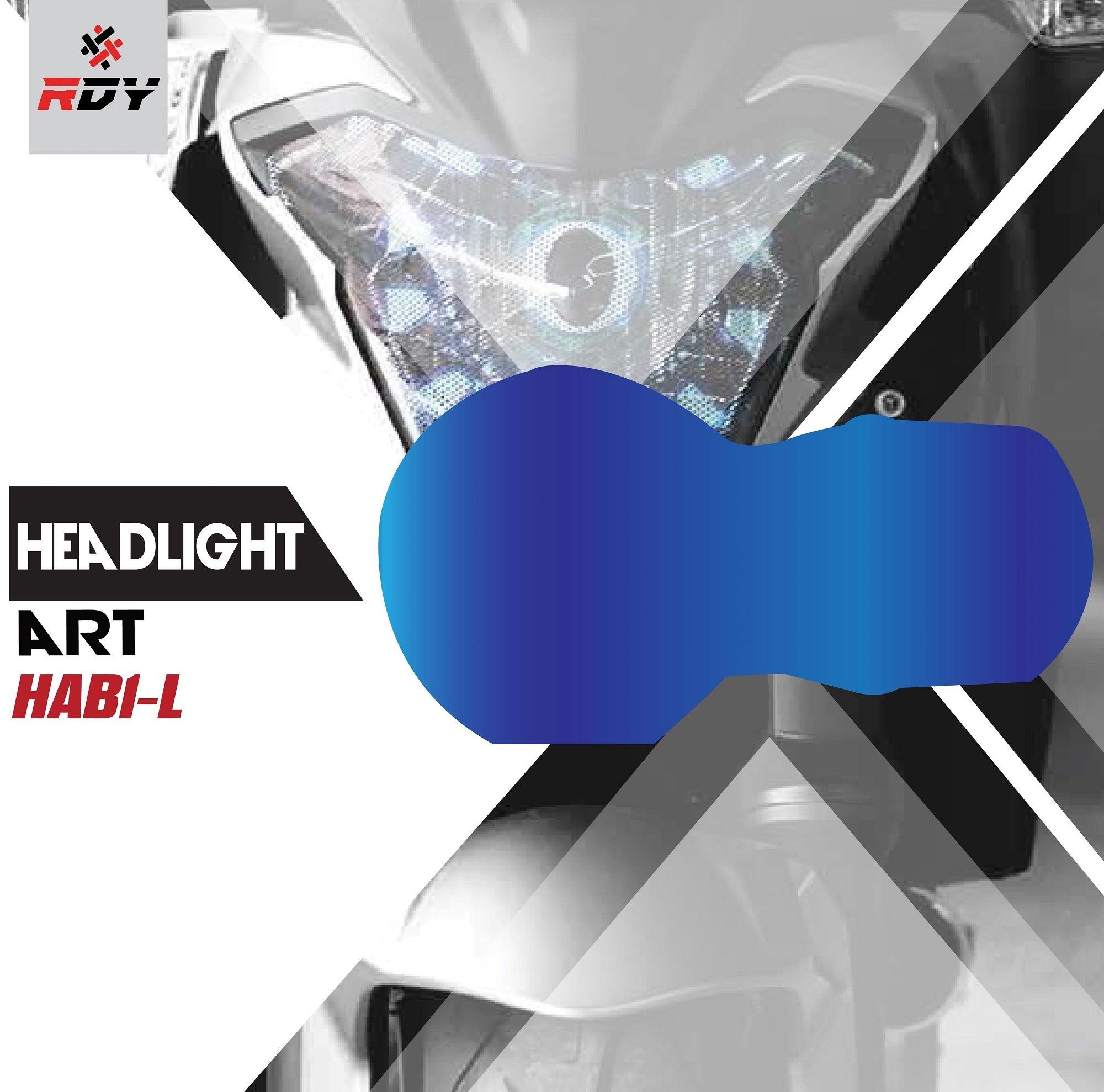 RDY Headlight Art fits for BMW R1000GS - Image 15
