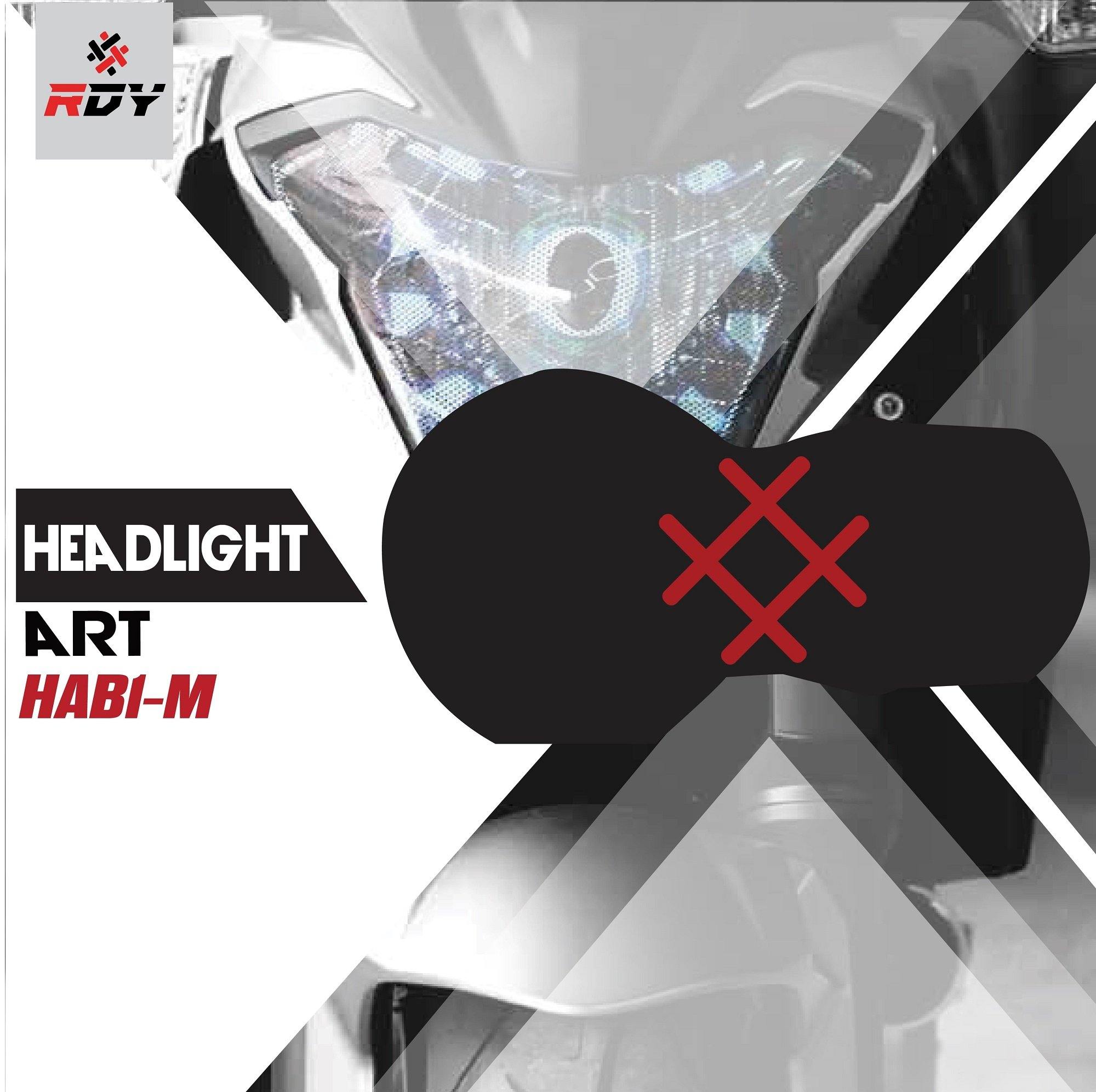 RDY Headlight Art fits for BMW R1000GS