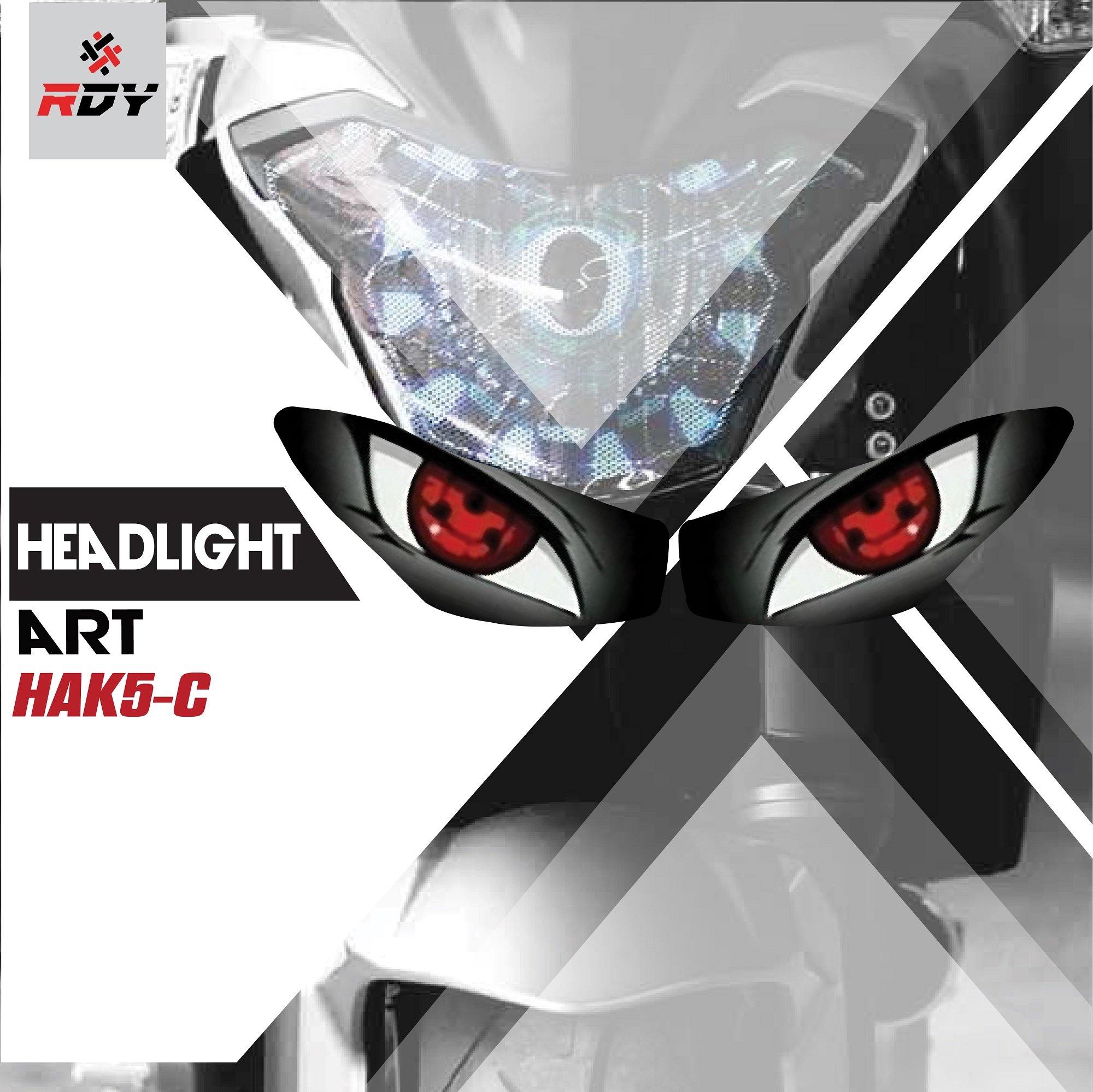 RDY Headlight Art fits for Kawasaki Z1000SX - Image 3