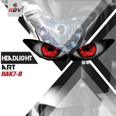RDY Headlight Art fits for Kawasaki Z1000SX