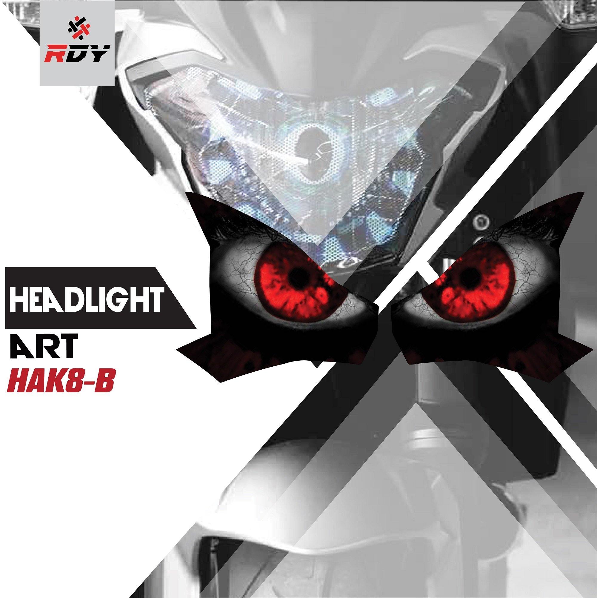 RDY Headlight Art fits for Kawasaki Z900 - Image 2